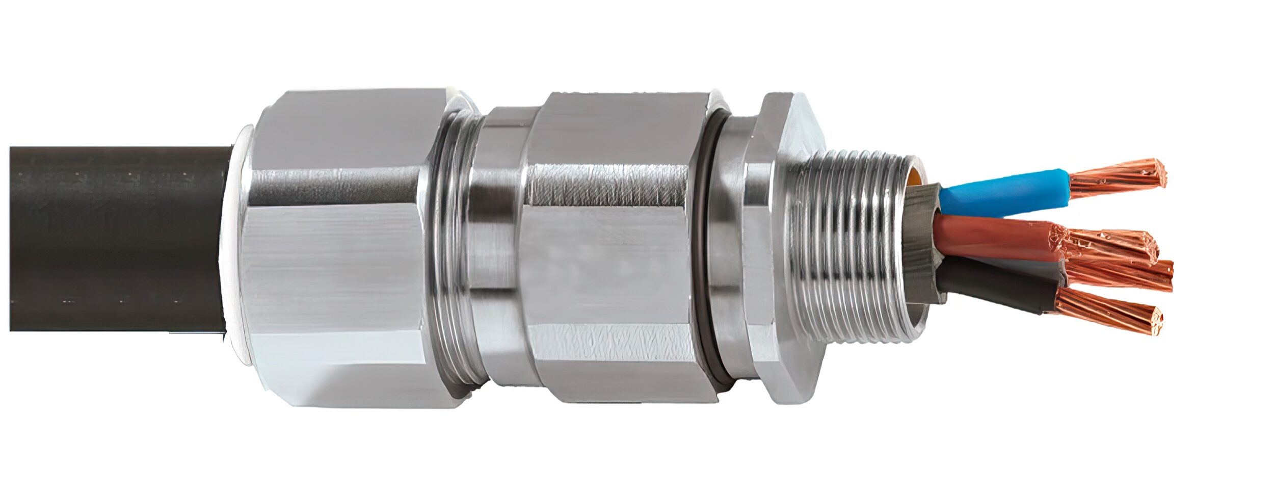 Cutaway of an Appleton C2KX Series stainless marine cable connector on black armored cable, showing the exposed copper conductors and armor termination